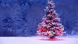 arbol-de-navidad